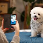 Social Media Marketing mit Hunden