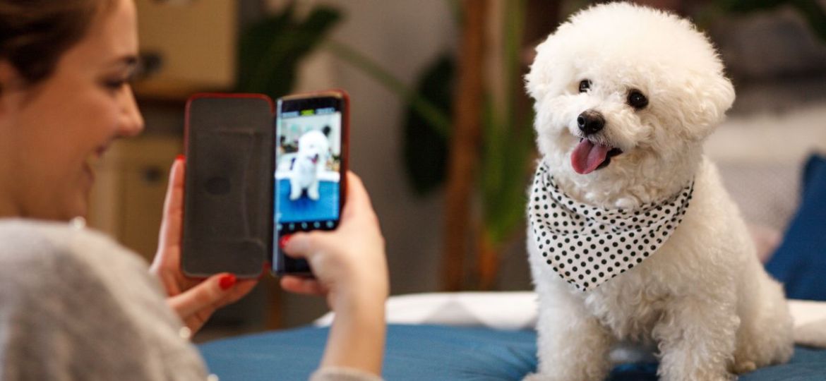 Social Media Marketing mit Hunden